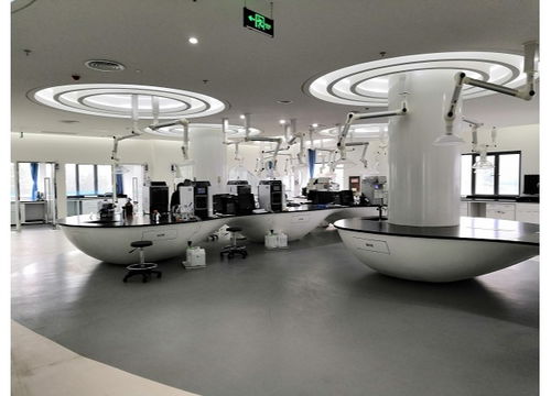 南京組合式稅費支持政策助力出口企業(yè)紓困解難