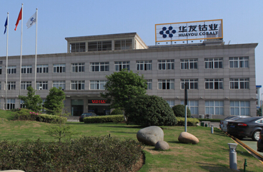 浙江華友鈷業股份有限公司 全球鈷業先鋒與可持續發展之路